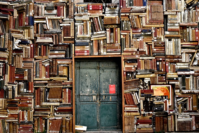 biblioteca delle cose - sharing economy