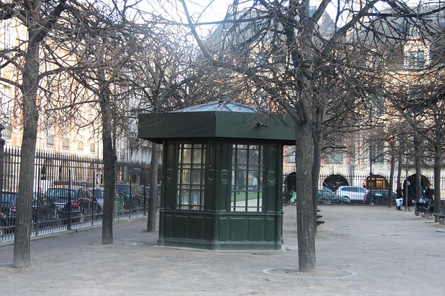 Lulu dans ma rue-sharing economy